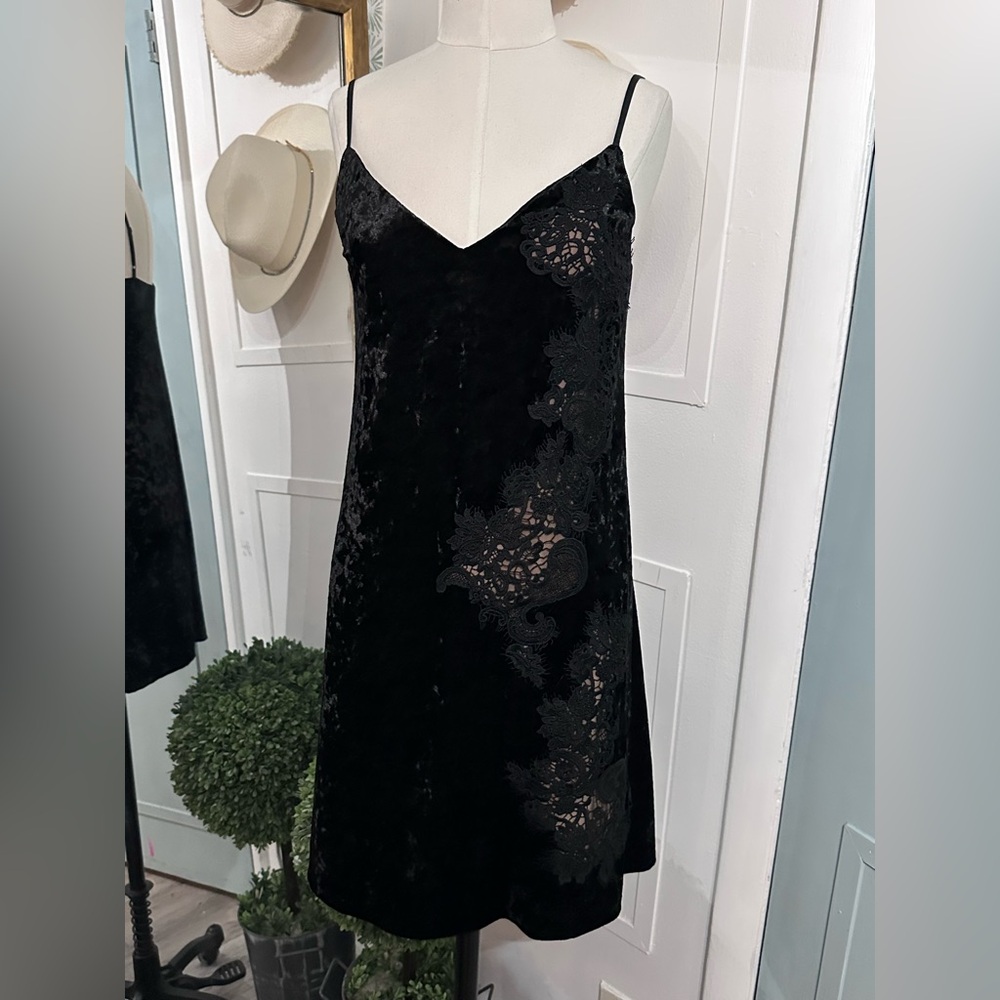 Bailey 44 Velvet Lace Dress - Picture 4 of 10